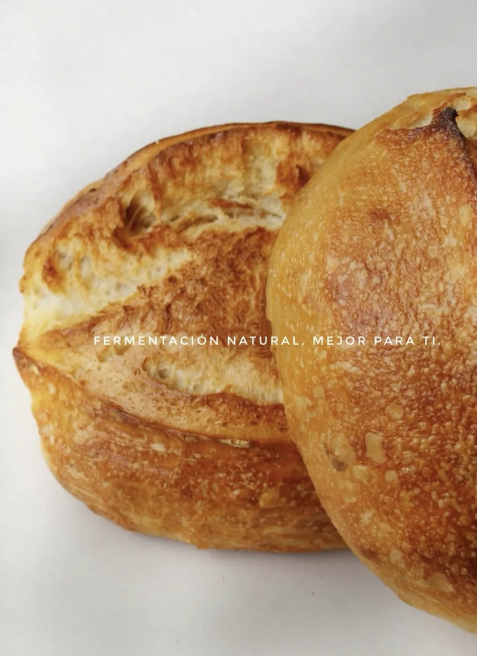 Masa Madre